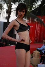 Lingerie Fashion Show by Triumph at Hotel Renissance on 29th Jan 2008 Lingerie Fashion Show by Triumph at Hotel Renissance on 29th Jan 2008 (35).jpg