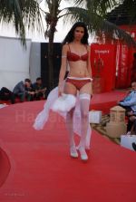 Lingerie Fashion Show by Triumph at Hotel Renissance on 29th Jan 2008 Lingerie Fashion Show by Triumph at Hotel Renissance on 29th Jan 2008 (52).jpg