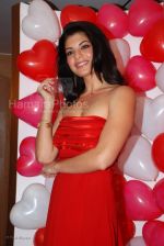 Jacqueline Fernandez announced as the brand ambassador for collection G Jacqueline Fernandez announced as the brand ambassador for collection G (16).jpg