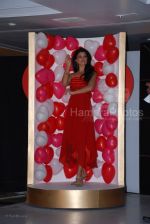 Jacqueline Fernandez announced as the brand ambassador for collection G Jacqueline Fernandez announced as the brand ambassador for collection G (8).jpg