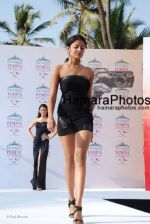 at Femina Miss India media meet in Sun N Sand on March 5th 2008 at Femina Miss India media meet in Sun N Sand on March 5th 2008(56).jpg