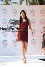 at Femina Miss India media meet in Sun N Sand on March 5th 2008 at Femina Miss India media meet in Sun N Sand on March 5th 2008(62).jpg