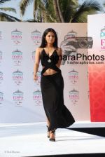 at Femina Miss India media meet in Sun N Sand on March 5th 2008 at Femina Miss India media meet in Sun N Sand on March 5th 2008(74).jpg