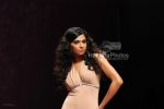 at Manish Malhotra Show in LIFW on 29th 2008 at Manish Malhotra Show in LIFW on 29th 2008(110).jpg