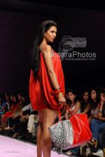 at Manish Malhotra Show in LIFW on 29th 2008 at Manish Malhotra Show in LIFW on 29th 2008(112).jpg