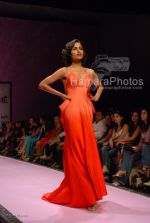 at Manish Malhotra Show in LIFW on 29th 2008 at Manish Malhotra Show in LIFW on 29th 2008(116).jpg