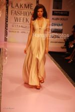 at Manish Malhotra Show in LIFW on 29th 2008 at Manish Malhotra Show in LIFW on 29th 2008(55).jpg