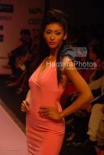 at Manish Malhotra Show in LIFW on 29th 2008 at Manish Malhotra Show in LIFW on 29th 2008(59).jpg
