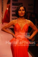 at Manish Malhotra Show in LIFW on 29th 2008 at Manish Malhotra Show in LIFW on 29th 2008(60).jpg
