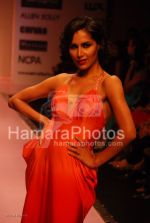 at Manish Malhotra Show in LIFW on 29th 2008 at Manish Malhotra Show in LIFW on 29th 2008(61).jpg