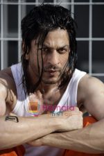 Shahrukh Khan's new look for Don 2 Shahrukh Khan_s new look for Don 2 (3).jpg