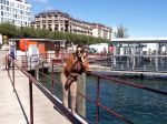 Poonam Jhawar Enjoying Holiday in Switzerland (8).JPG