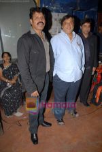 Tinu Verma, David Dhawan at the launch of Meghna Patel_s debut music video _Golden Babe_ on 14th October 2008 (4).JPG