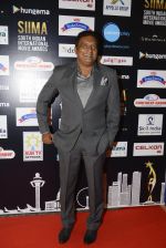 Prakash Raj at SIIMA Awards 2016 Red carpet day 2 on 1st July 2016 (62)_57776e12e4491.JPG