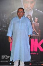 Aniruddha Roy Chowdhury at Pink trailer launch in Mumbai on 9th Aug 2016 (13)_57a9e8d4edf19.JPG