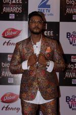 At Red Carpet Of Big Zee Entertainment Awards 2017 on 29th July 2017 (97)_597d90829f9b8.JPG