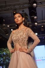Vijaya Sharma Showstopper For Designer Kalki At Bombay Times Fashion Week on 1st April 2018 (22)_5ac2464d418ce.JPG